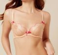 Reggiseno